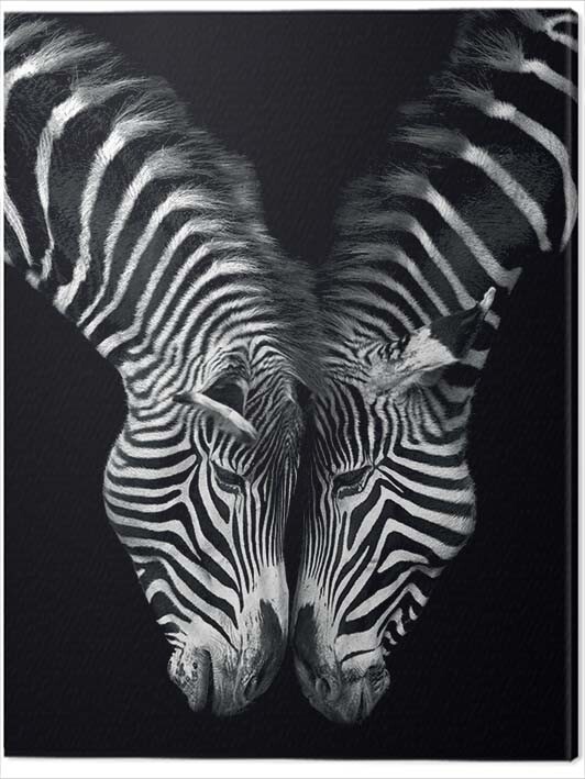 Obraz na plátně Marina Cano - Together