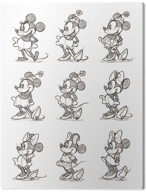 Obraz na plátně Minnie - Multi