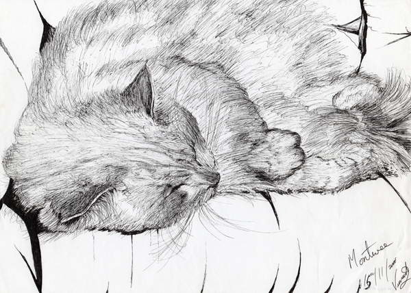 Obraz na plátně montwee, 2000,