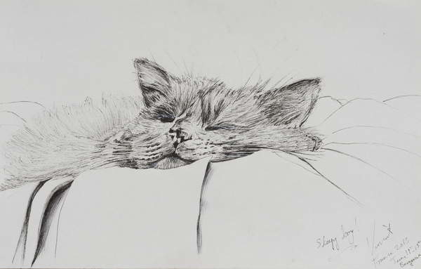 Obraz na plátně Monty sleepy boy, 2013,