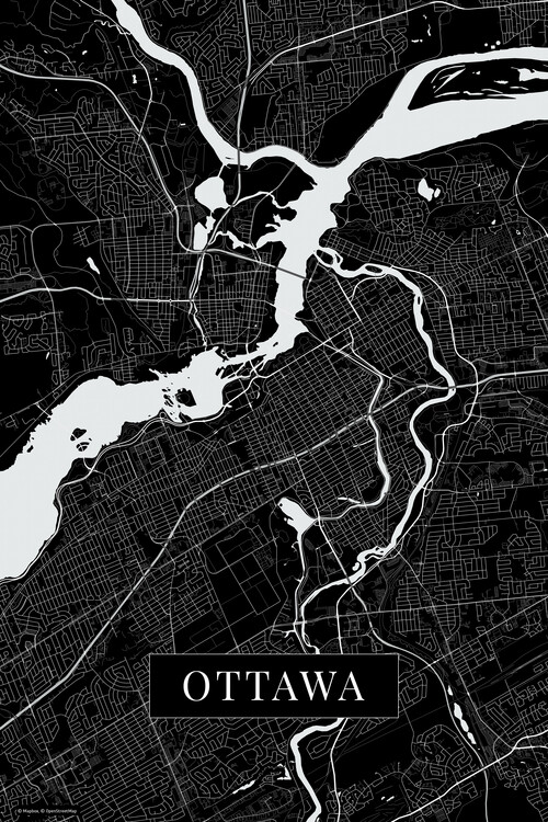Obraz na plátně Ottawa black