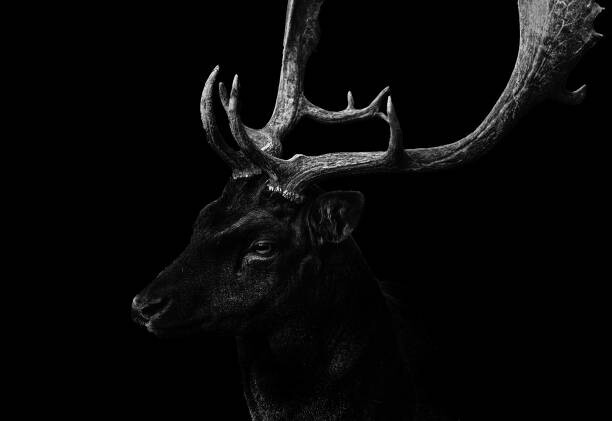 Obraz na plátně Perchtoldsdorf,Austria