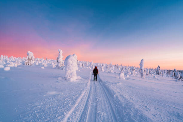 Obraz na plátně Person snowshoeing in Lalpand at dawn