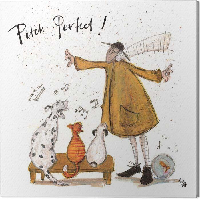 Obraz na plátně Sam Toft - Pitch Perfect