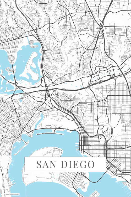 Obraz na plátně San Diego white