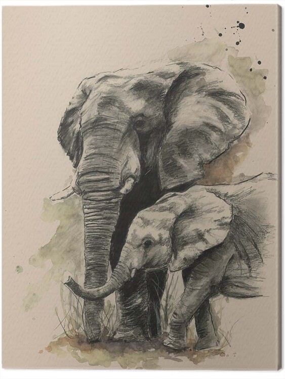 Obraz na plátně Sarah Stokes - Proud