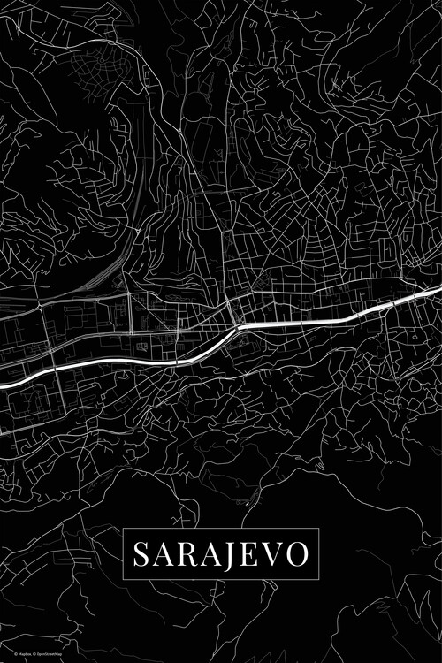 Obraz na plátně Sarajevo black