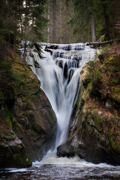Obraz na plátně Scenic view of waterfall in forest,Czech Republic