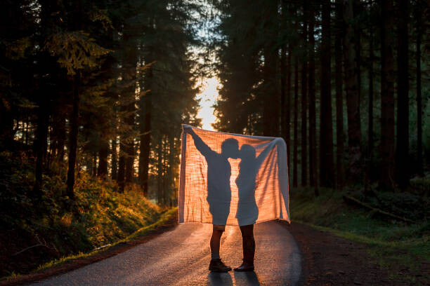 Obraz na plátně Silhouette of couple holding blanket kissing