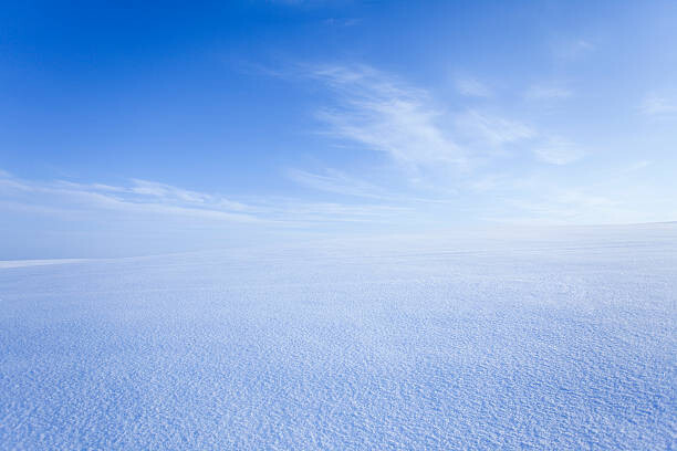 Obraz na plátně Snowy field.