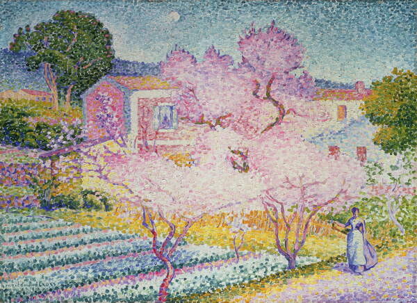 Obraz na plátně Spring trees in blossom