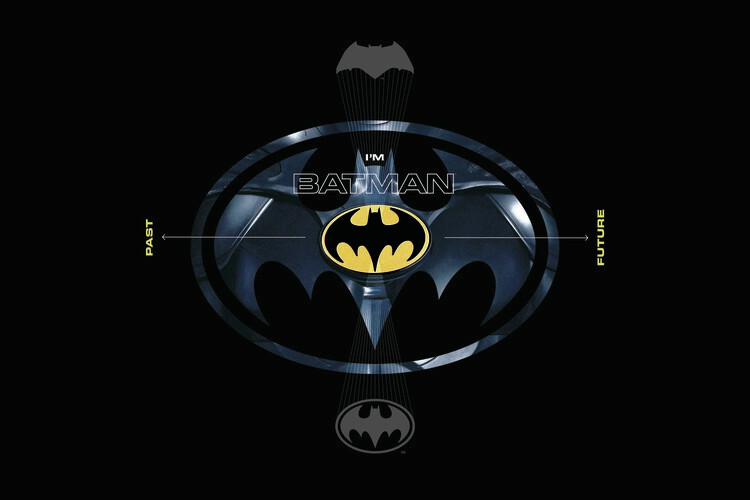 Obraz na plátně The Flash - I'm Batman