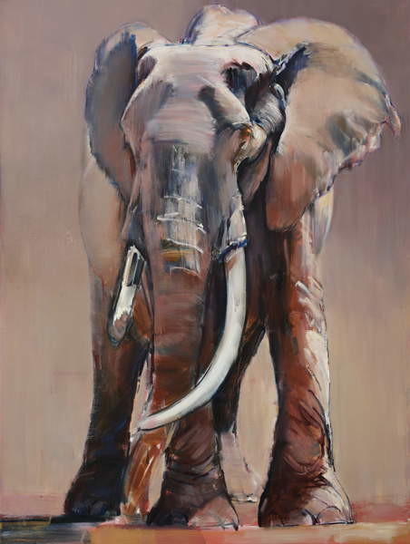 Obraz na plátně Venerable Old Matriarch, 2018,