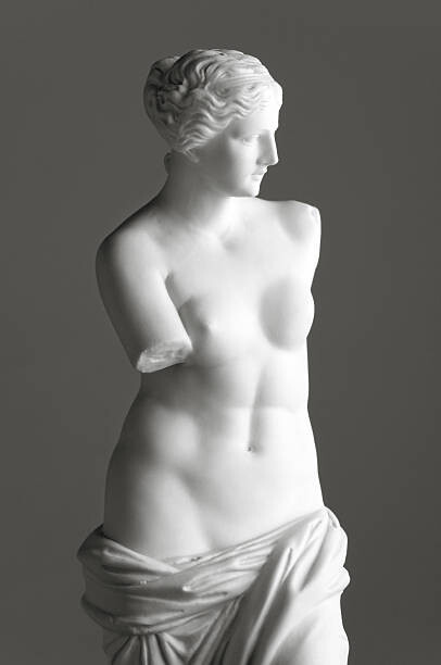 Obraz na plátně Venus de Milo on grey