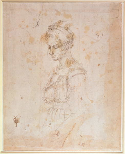 Obraz na plátně W.41 Sketch of a woman