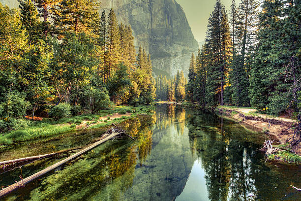 Obraz na plátně Yosemite Valley Landscape and River, California