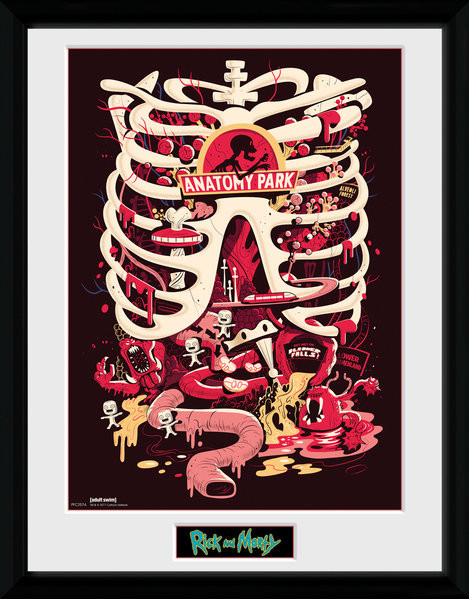 Zarámovaný plagát Rick and Morty - Anatomy Park