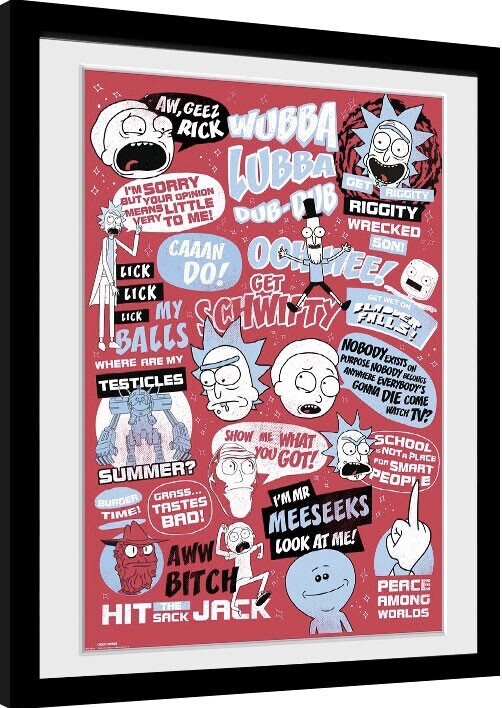 Zarámovaný plagát Rick and Morty - Quotes