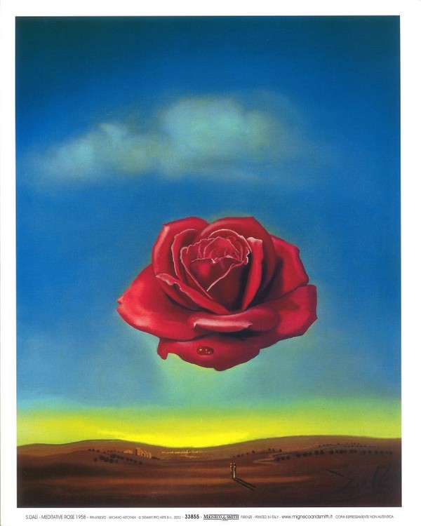 Meditative Rose, 1958 Obrazová reprodukcia