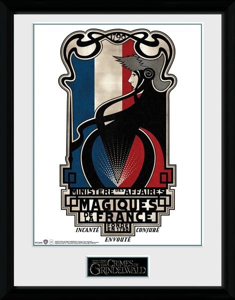 Oprawiony plakat Fantastyczne zwierzeta: Zbrodnie Grindelwalda - Magiques de la France