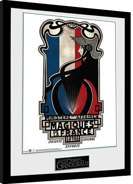 Oprawiony plakat Fantastyczne zwierzeta: Zbrodnie Grindelwalda - Magiques de la France