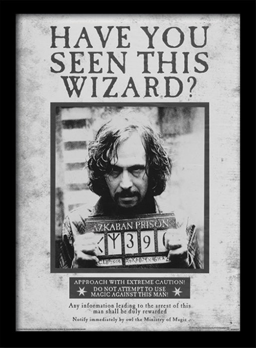 Zarámovaný plakát Harry Potter - Sirius Wanted