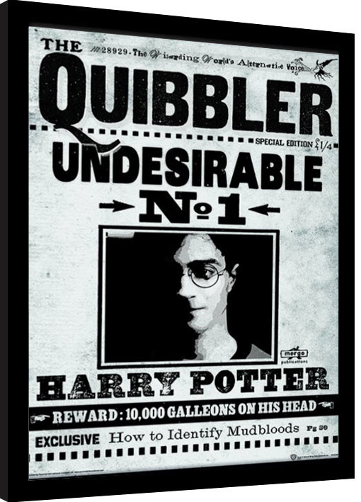 Zarámovaný plakát Harry Potter - The Quibbler