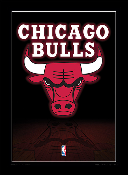 Official New Era NBA Paris Games Chicago Bulls Tee C125_162 C125_162
