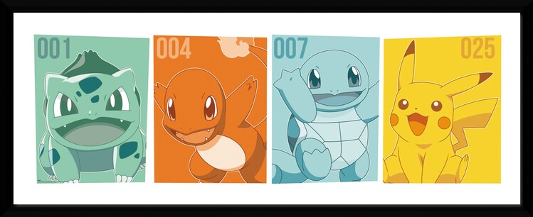 Oprawiony plakat Pokemon - Kanto Partners