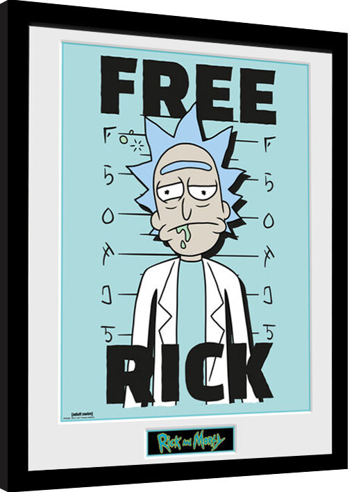 Zarámovaný plakát Rick and Morty - Free Rick