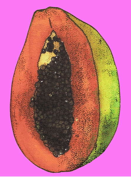 Samolepka Papaya,2008