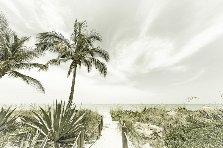Cuadros en Lienzo Alone at the beach | Vintage