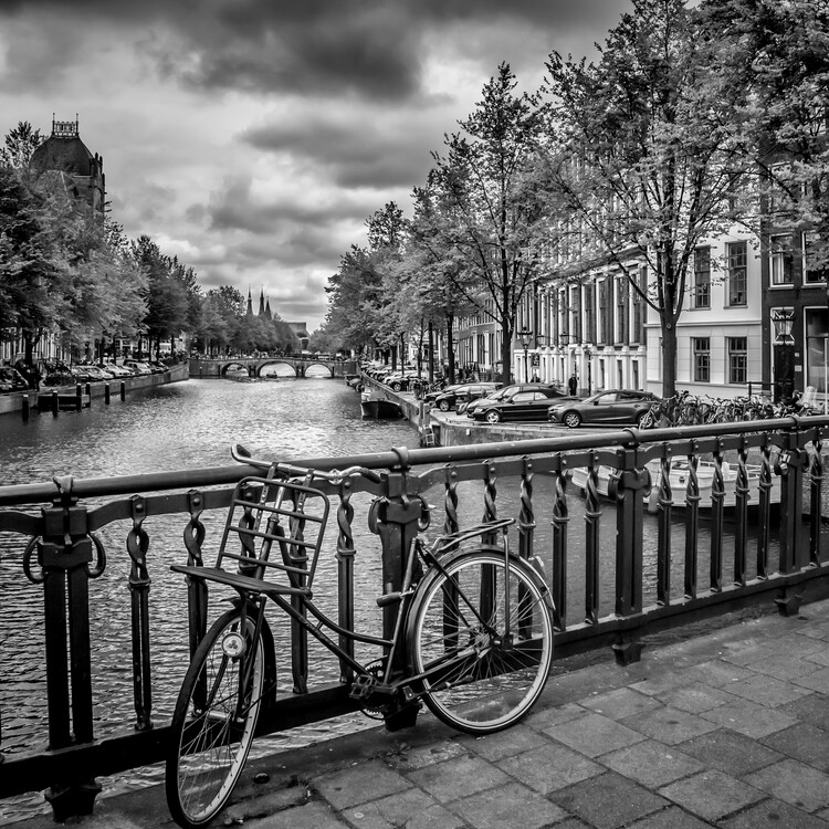 Cuadros en Lienzo AMSTERDAM Bicycle