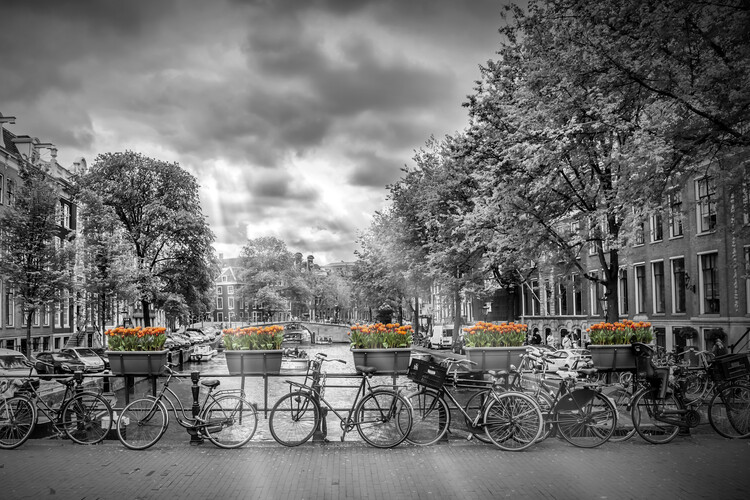 Cuadros en Lienzo AMSTERDAM Herengracht