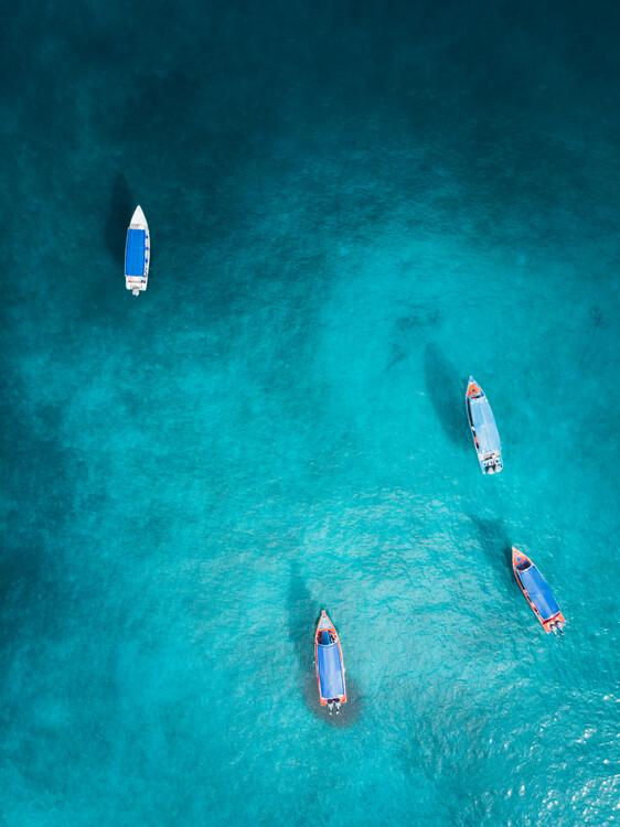 Cuadros en Lienzo Into the Blue