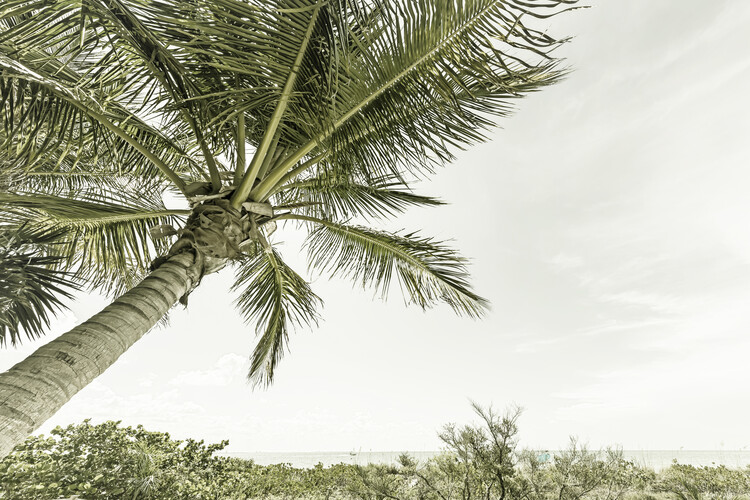 Cuadros en Lienzo Summertime in Florida | Vintage