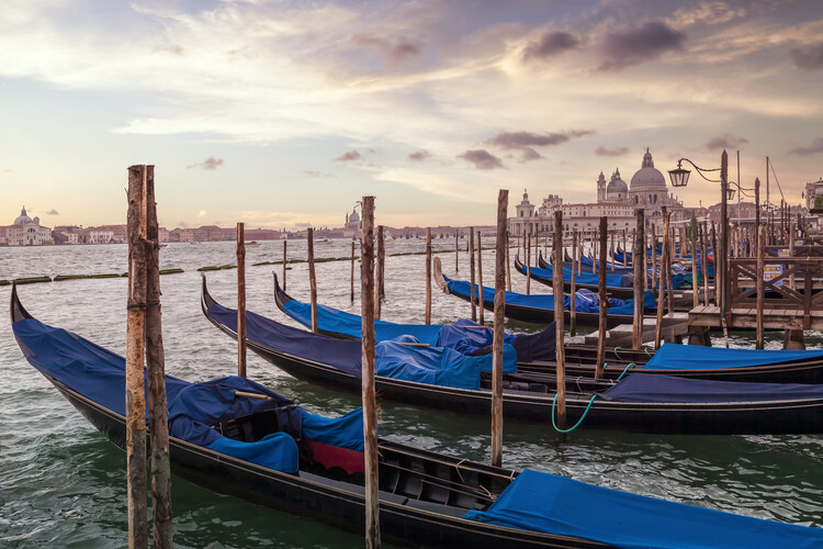 Cuadros en Lienzo VENICE Gondolas & Santa Maria della Salute