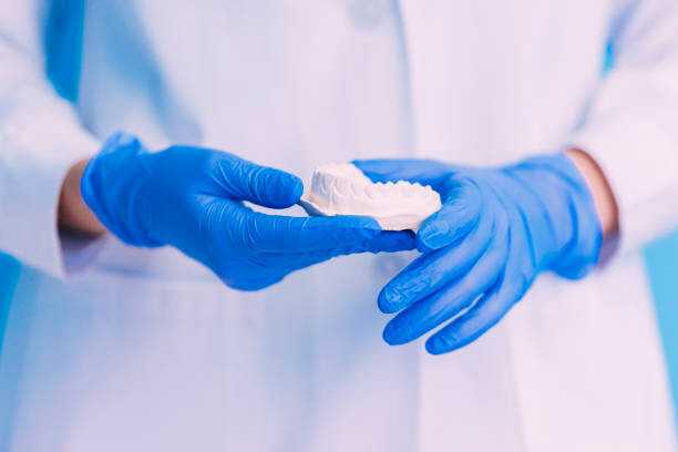 Cuadro en lienzo Dental model of jaw.