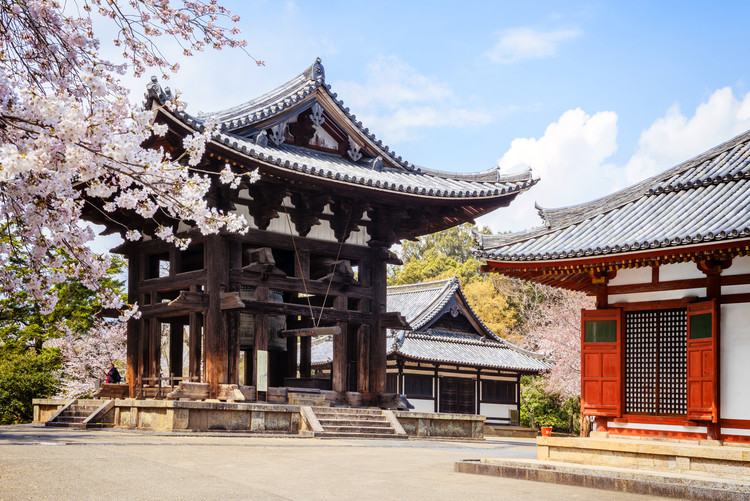Cuadros en Lienzo Todai-Ji Temple