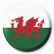 Placka FLAG - WALES