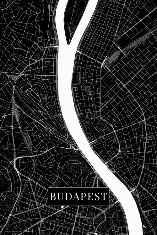 Fototapeta Budapest black