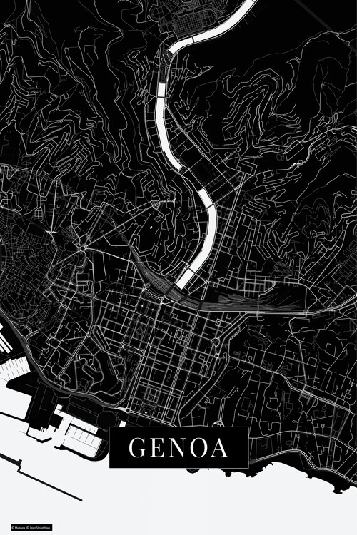 Fototapeta Genoa black