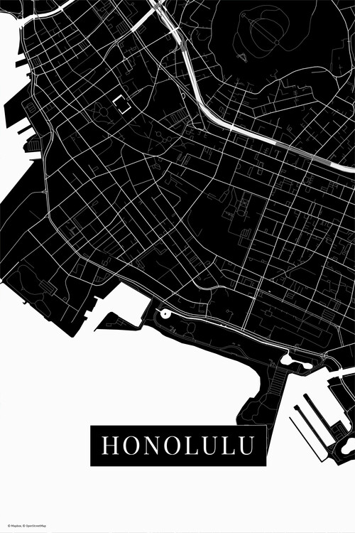 Fototapeta Honolulu black