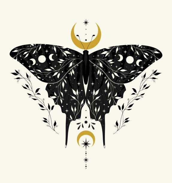 Plagát Vector illustration with black butterfly and