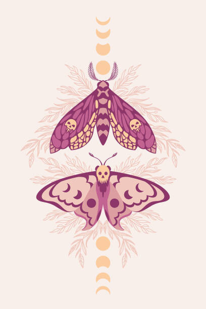 Plagát Vector pattern with night moths and