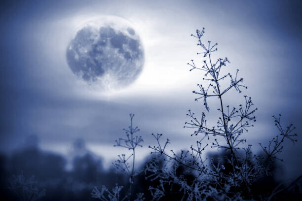 Plagát Winter night mystical scenery. Full moon