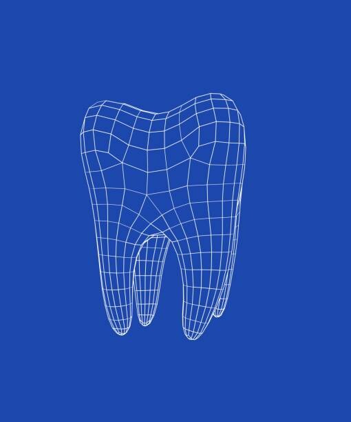 Plakat 3D molar tooth