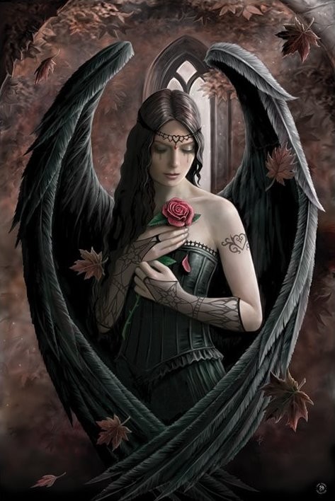 Plakat Anne Stokes - angel rose