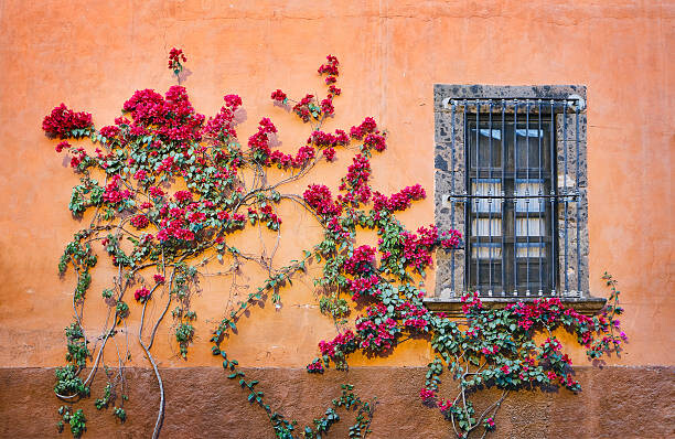 Plakat Architectural Details, San Miguel de Allende,