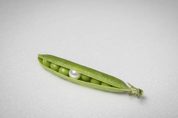 Plakat Bead in half-open peas pod, Montargis, France.